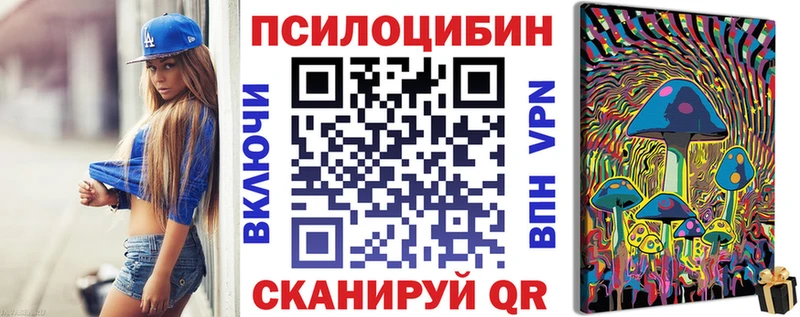 закладка  Советская Гавань  Псилоцибиновые грибы MAGIC MUSHROOMS 
