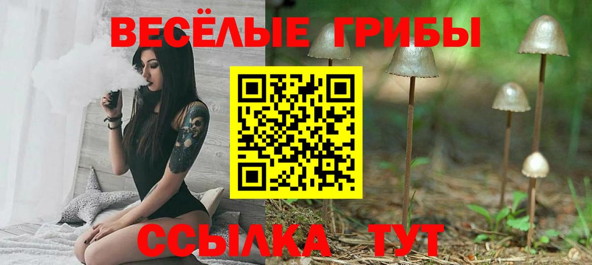 Галлюциногенные грибы мухоморы  Псилоцибиновые грибы Cubensis  Вход с VPN  Советская Гавань 