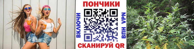 Канабис конопля  где купить наркоту  Советская Гавань 